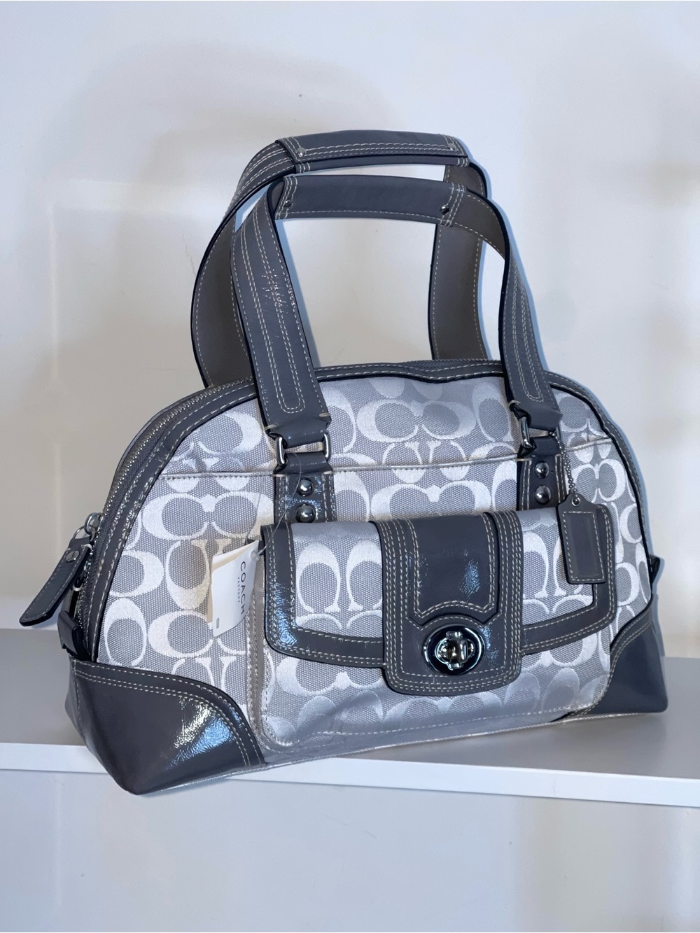 Coach Hamptons Signature Zip Satchel
Bag Leather Shoulder Handbag Gray